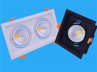 Đèn LED DOWNLIGHT ĐƠN - ĐÔI - BA PHILIP OEM : CSV-DLV4